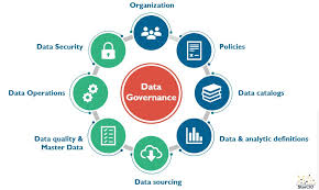 Enterprise Data Governance SOP